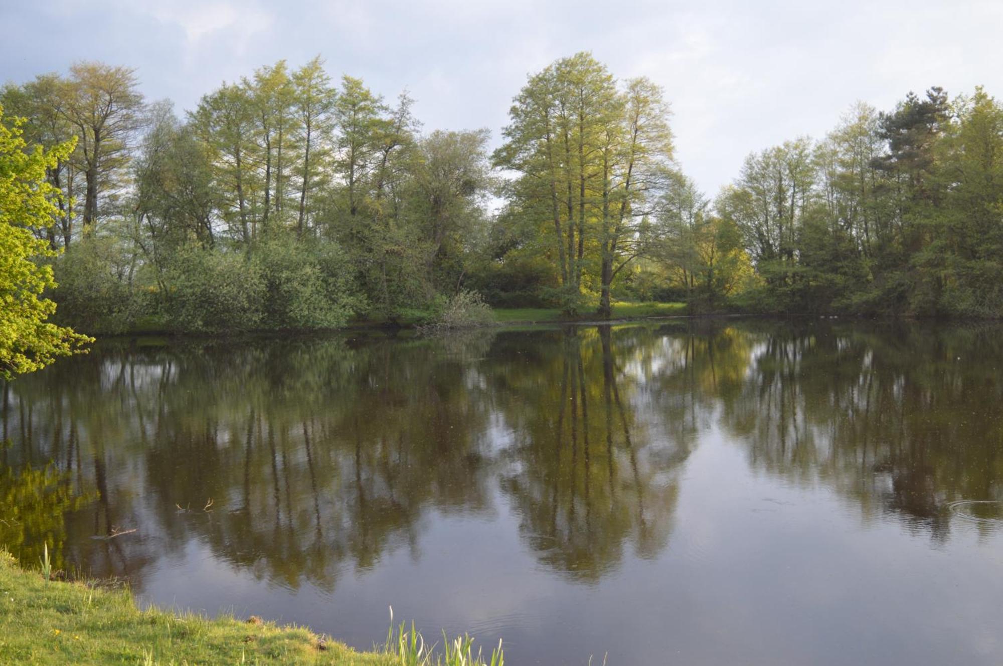 Mobil Home Sainte-Reine-de-Bretagne エクステリア 写真
